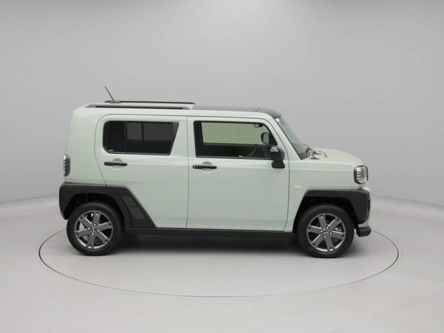 タフトＧ　ダーククロムベンチャー（愛知県）の中古車