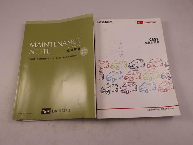 キャストスタイルＧ　ＳＡIIドライブレコーダー　ＥＴＣ　スマートキー　ワンオーナー（愛知県）の中古車