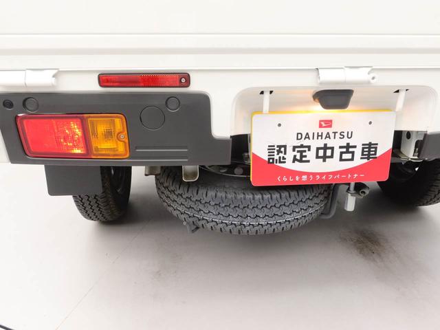 ハイゼットトラックスタンダード(愛知県)の中古車