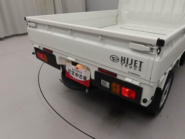 ハイゼットトラックスタンダード(愛知県)の中古車