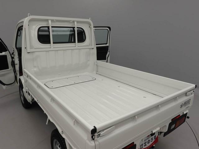 ハイゼットトラックスタンダード（愛知県）の中古車