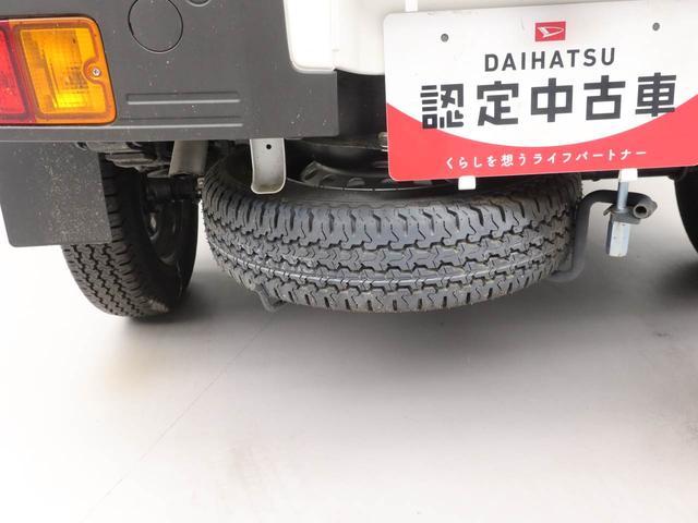 ハイゼットトラックスタンダード（愛知県）の中古車