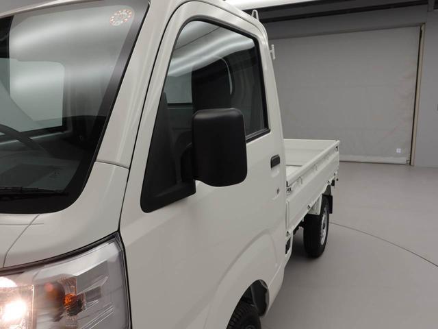 ハイゼットトラックスタンダード（愛知県）の中古車