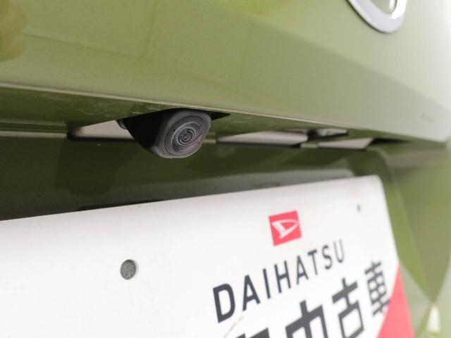 タフトXターボ(愛知県)の中古車
