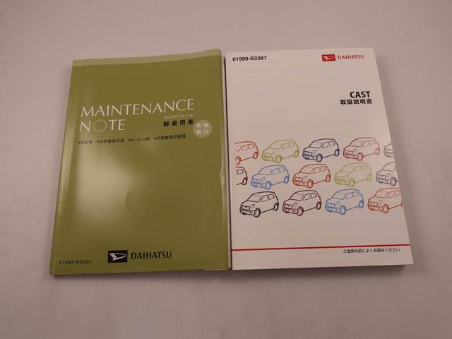 キャストスタイルG SAIIメモリーナビ・ドライブレコーダー・キーフリー(愛知県)の中古車