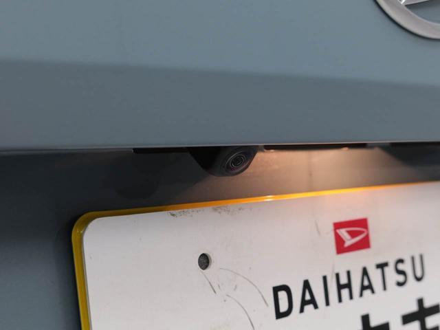 タフトX(愛知県)の中古車