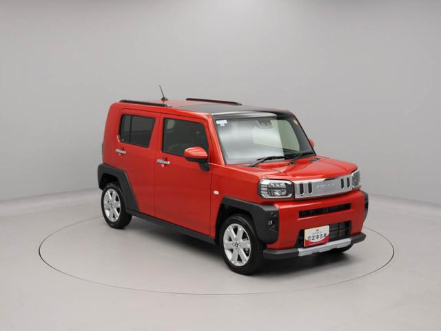 タフトＧターボ　クロムベンチャー（愛知県）の中古車