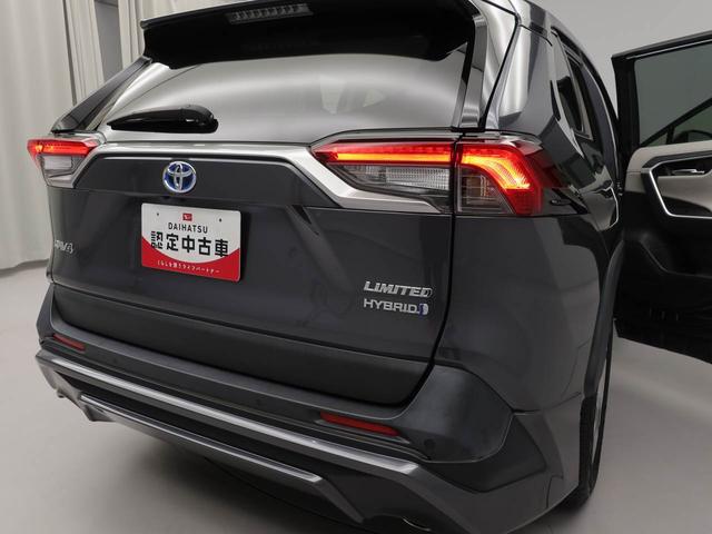 ＲＡＶ４ハイブリッドＧドライブレコーダー　クルーズコントロール　メモリナビ　パノラマカメラ　ＥＴＣ　ＵＳＢポート　スマートキー（愛知県）の中古車