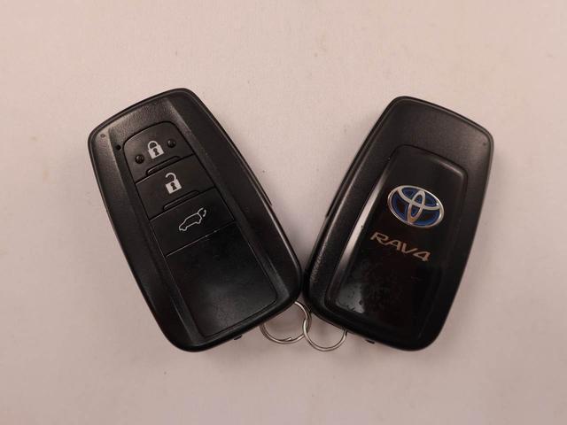 ＲＡＶ４ハイブリッドＧドライブレコーダー　クルーズコントロール　メモリナビ　パノラマカメラ　ＥＴＣ　ＵＳＢポート　スマートキー（愛知県）の中古車