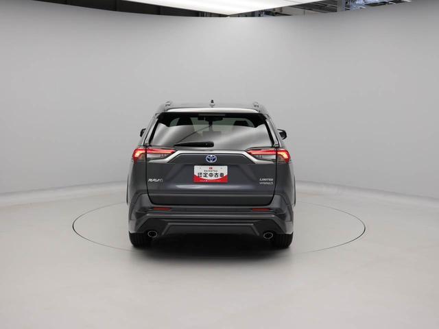 ＲＡＶ４ハイブリッドＧドライブレコーダー　クルーズコントロール　メモリナビ　パノラマカメラ　ＥＴＣ　ＵＳＢポート　スマートキー（愛知県）の中古車