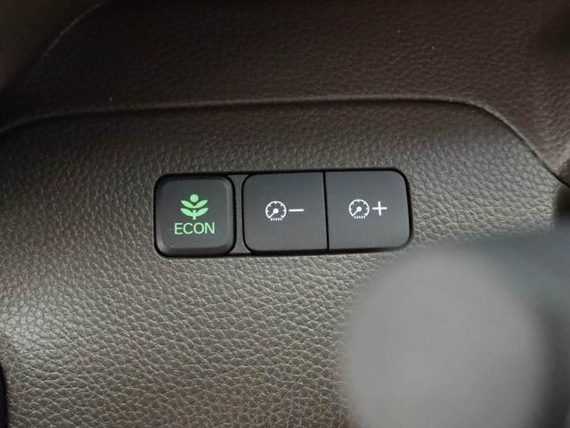 Ｎ−ＢＯＸＬ・ターボ・スロープ福祉車両　両側電動スライドドア　ＥＴＣ　クルーズコントロール　バックカメラ　ＵＳＢポート（愛知県）の中古車