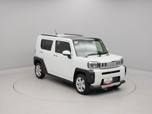 タフトＧ　クロムベンチャー（愛知県）の中古車