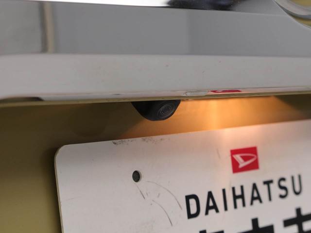 タフトＧ　クロムベンチャー（愛知県）の中古車