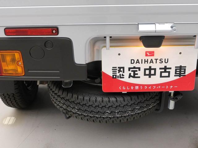 ハイゼットトラックスタンダード（愛知県）の中古車