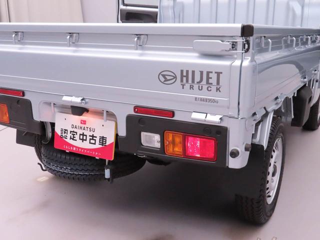 ハイゼットトラックスタンダード（愛知県）の中古車