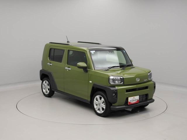 タフトＧ（愛知県）の中古車
