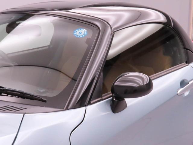 コペンローブ（愛知県）の中古車