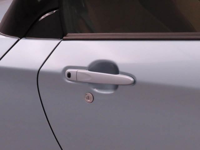 コペンローブ（愛知県）の中古車