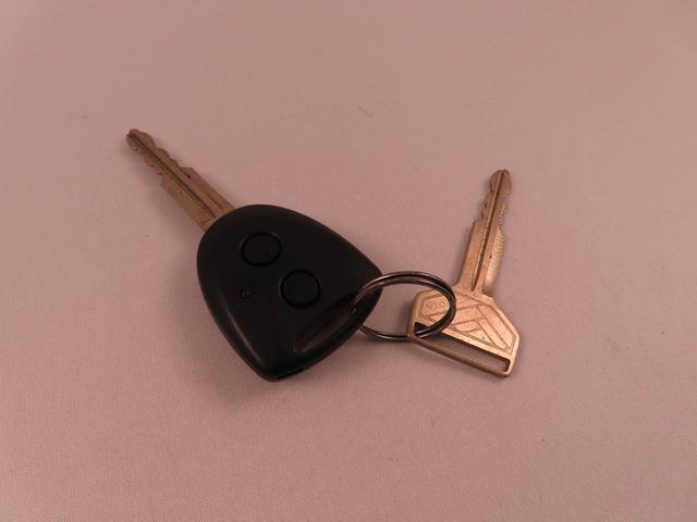 ピクシスバンクルーズターボ SAIIIメモリーナビ バックカメラ(愛知県)の中古車
