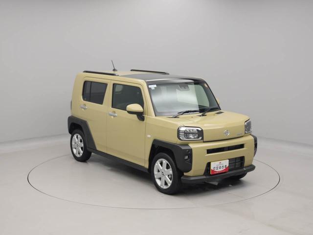 タフトＧ電動パーキングブレーキ　オートブレーキホールド　スカイフィールトップ（愛知県）の中古車