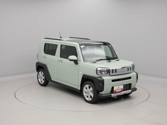 タフトＧ　クロムベンチャー（愛知県）の中古車
