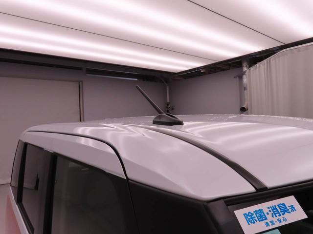 ムーヴキャンバスストライプスX両側電動スライドドア 衝突回避支援ブレーキ(愛知県)の中古車