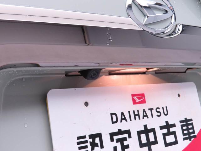 タフトＧターボ　ダーククロムベンチャー（愛知県）の中古車