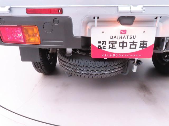 ハイゼットトラックスタンダード(愛知県)の中古車