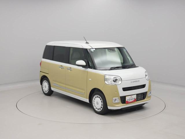 ムーヴキャンバスストライプスＧ（愛知県）の中古車