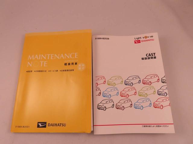 キャストスタイルG SAIII ナビ ドラレコ ETC(愛知県)の中古車