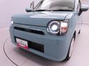 メモリーナビ　パノラマカメラ　ＥＴＣ（愛知県）の中古車