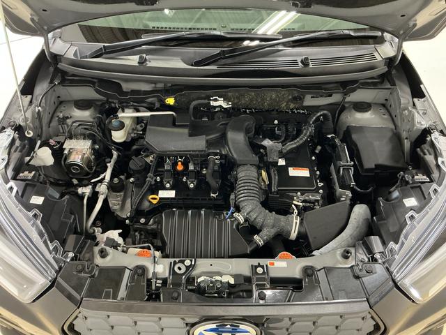 ロッキープレミアムＧ　ＨＥＶ　ワンオーナー　パノラマモニター　ＵＳＢワンオーナー　パノラマモニター　アダプティブクルーズコントロール　ウインドシールドディアイサー　ＡＣ１００Ｖ電源　スマートペダル　ブラインドスポットモニター　前席シートヒーター　前後コーナーセンサー（京都府）の中古車