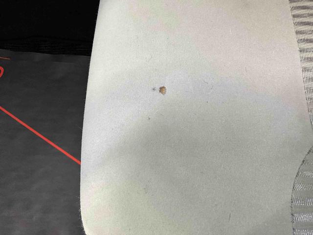 ムーヴＬ　ＳＡIIIナビ　ＥＴＣ　アイドリングストップ　キーレスエントリー　ベンチシート　デュアルエアバッグ　ＡＢＳ　安全ボディ　横滑り防止システム　オートマチックハイビーム　スマートアシスト（京都府）の中古車