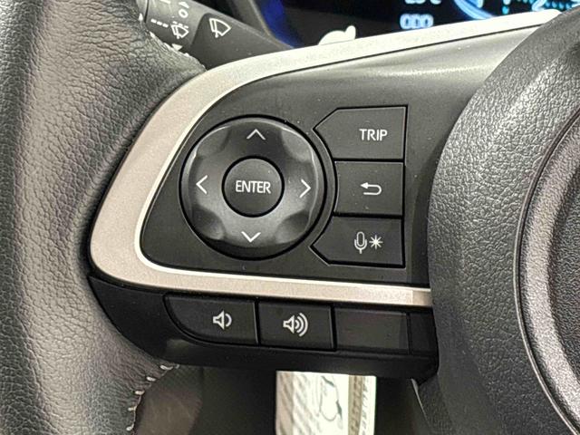 ロッキープレミアムＧ　バックカメラ付き　電動パーキングブレーキＬＥＤヘッドランプ・フォグランプ　全車速追従機能付アダプティブクルーズコントロール　レーンキープコントロール　ブラインドスポットモニター　１７インチアルミホイール　シートヒーター（広島県）の中古車