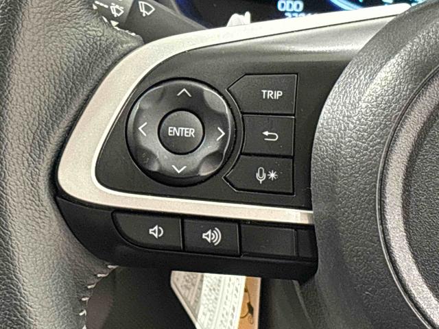 ロッキープレミアムＧ　バックカメラ対応　電動パーキングブレーキＬＥＤヘッドランプ・フォグランプ　全車速追従機能付アダプティブクルーズコントロール　レーンキープコントロール　ブラインドスポットモニター　１７インチアルミホイール　シートヒーター（広島県）の中古車