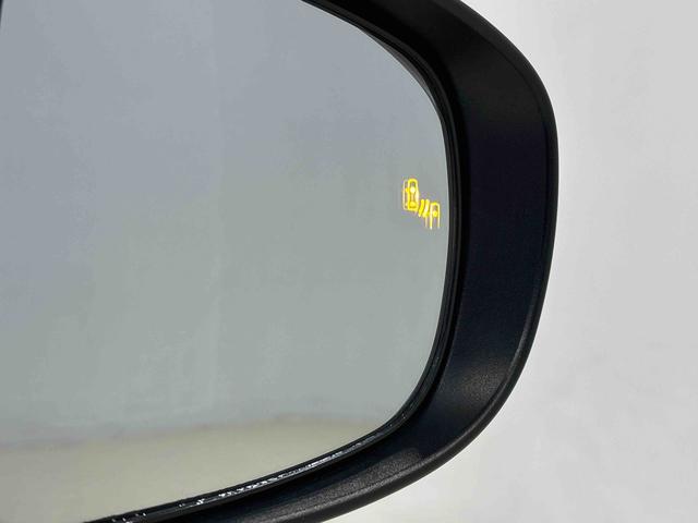 ロッキープレミアム(広島県)の中古車