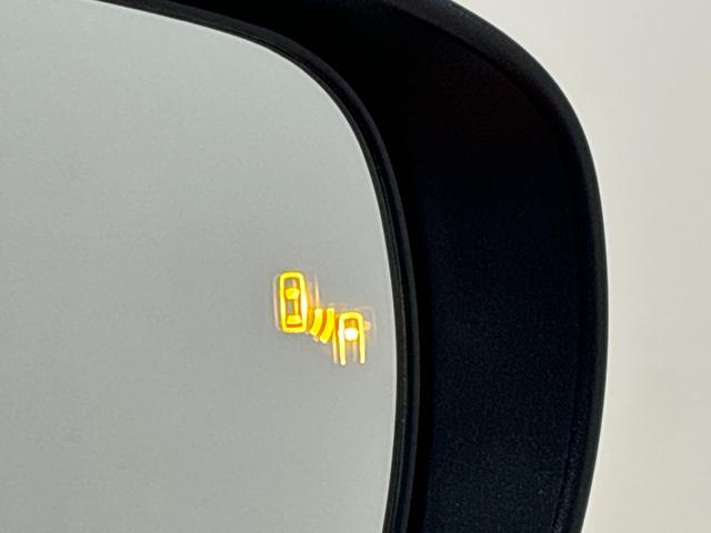 ロッキープレミアム　　ナビ・ドラレコ・ＥＴＣ付き契約後点検／延長保証追加プランあり／ブラインドスポットモニタ／ＴＶコントロールキット／置くだけ充電／ＵＳＢポート／ＬＥＤヘッドランプ・フォグランプ　全車速追従機能付アダプティブクルーズコントロール（広島県）の中古車