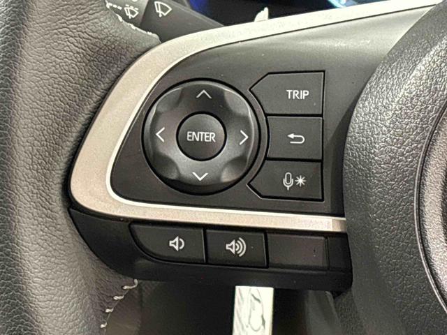 ロッキープレミアムＧ　電動パーキングブレーキ　ブレーキホールドＬＥＤヘッドランプ・フォグランプ　全車速追従機能付アダプティブクルーズコントロール　レーンキープコントロール　ブラインドスポットモニター　１７インチアルミホイール　シートヒーター　シートリフター（広島県）の中古車