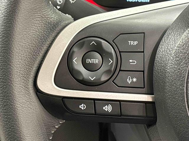 ロッキープレミアムＧ　ＨＥＶ　バックモニター　電動パーキングブレーキＬＥＤヘッドランプ・フォグランプ　全車速追従機能付アダプティブクルーズコントロール　レーンキープコントロール　ブラインドスポットモニター　１７インチアルミホイール　シートヒーター（広島県）の中古車