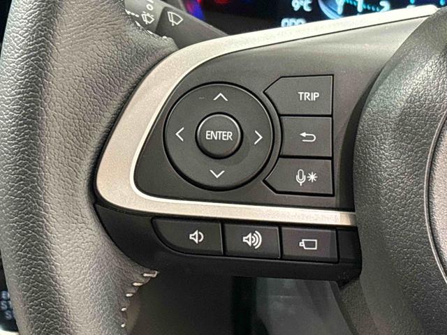 ロッキープレミアムナビ　パノラマ　ＥＴＣ　ドラレコ　ＬＥＤヘッドランプ・フォグランプ　全車速追従機能付アダプティブクルーズコントロール　　ブラインドスポットモニター　アルミホイール　シートヒーター（広島県）の中古車