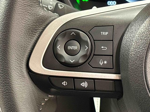 ロッキープレミアムG HEV バックカメラ 前席シートヒーターLEDヘッドランプ・フォグランプ 全車速追従機能付アダプティブクルーズコントロール レーンキープコントロール ブラインドスポットモニター 17インチアルミホイール シートヒーター(広島県)の中古車