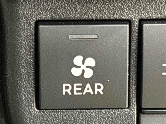 アトレーＲＳ　９インチディスプレイオーディオ　バックカメラ　４ＷＤプッシュボタンスタート　パワースライドドアウエルカムオープン機能　電動格納式ドアミラー　大型ＬＥＤ荷室灯　ＬＥＤへッドランプ　ＬＥＤフォグランプ　クルーズコントロール　スモークドガラス（広島県）の中古車