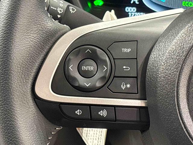 ロッキープレミアムＧ　ＨＥＶ　９インチディスプレイオーディオＬＥＤヘッドランプ・フォグランプ　全車速追従機能付アダプティブクルーズコントロール　レーンキープコントロール　ブラインドスポットモニター　１７インチアルミホイール　シートヒーター（広島県）の中古車