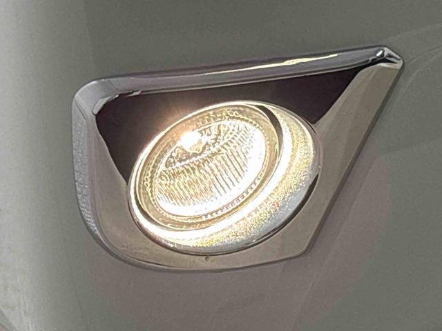 ハイゼットトラックスタンダード　ナビ・バックカメラ・ハロゲンヘッドランプ　トップシェイドガラス　運転席バニティミラー　ＡＭ・ＦＭラジオ　マニュアルエアコン　ガードフレーム　スペアタイヤ（広島県）の中古車