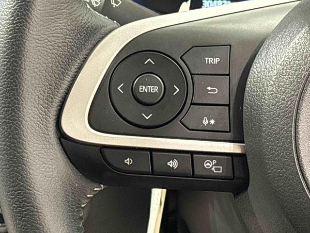 ロッキープレミアムナビ　パノラマ　ドラレコ　ＥＴＣ　ＬＥＤヘッドランプ　全車速追従機能付アダプティブクルーズコントロール　レーンキープコントロール　ブラインドスポットモニター　アルミホイール　シートヒーター（広島県）の中古車