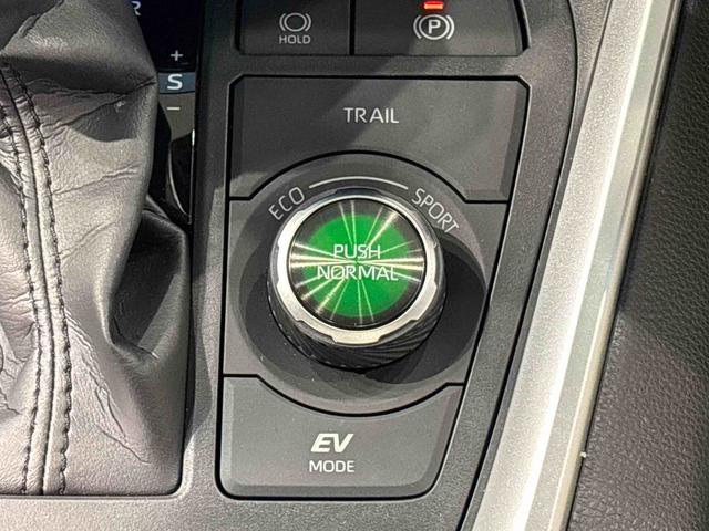 ＲＡＶ４ハイブリッドＧ　マルチメディアシステム　パノラマムーンルーフ車線逸脱　アダクティブクルーズコントロール　３６０度カメラ　Ｂｌｕｅｔｏｏｔｈオーディオ　パワーバックゲート　衝突回避システム　Ｂモニタ　ＡＨＢ　衝突安全ボディ　フロントカメラ　サイドカメラ　Ａライト（広島県）の中古車
