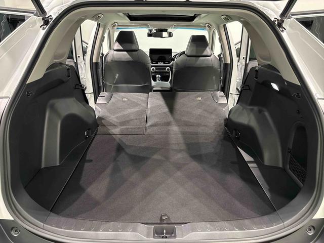 ＲＡＶ４ハイブリッドＧ　マルチメディアシステム　パノラマムーンルーフ車線逸脱　アダクティブクルーズコントロール　３６０度カメラ　Ｂｌｕｅｔｏｏｔｈオーディオ　パワーバックゲート　衝突回避システム　Ｂモニタ　ＡＨＢ　衝突安全ボディ　フロントカメラ　サイドカメラ　Ａライト（広島県）の中古車