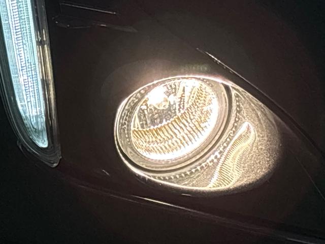 コペンローブ　Ｓ　ナビ　ドライブレコーダー　バックカメラ（広島県）の中古車