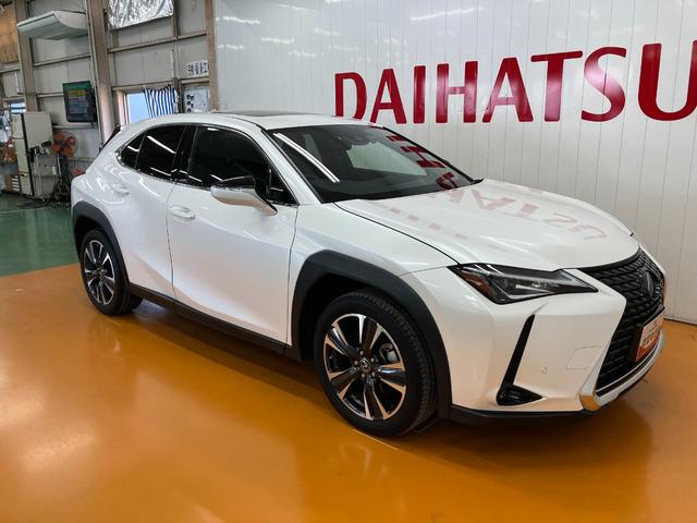 ＵＸＵＸ２００　バージョンＣ衝突被害軽減ブレーキシステム　ドラレコ　ブラインドスポットモニター　Ｂカメラ　ステアリングスイッチ　クルーズコントロール　電動パーキングブレーキ　シートヒーター　ステアリングヒーター（神奈川県）の中古車