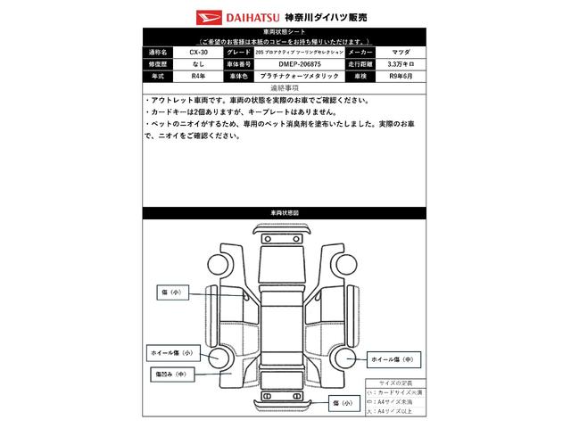 CX−3020S プロアクティブ ツーリングセレクション衝突軽減ブレーキシステム Bカメラ ブラインドモニター ナビ 電動パーキングブレーキ Pスタート レーダークルーズコントロール ETC アイドリングストップ TCS コーナーセンサー キーフリー(神奈川県)の中古車